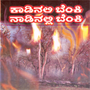 Picture of Kaadinalli Benki Naadinalli Benki