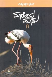 Picture of Noorentu Maatu -8