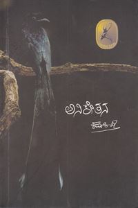 Picture of Aniketana