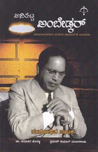 Picture of Avititta Ambedkar