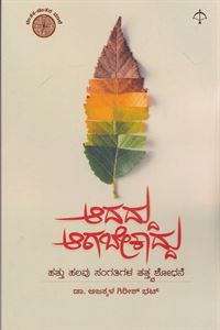 Picture of Adaddu Akabekaddu